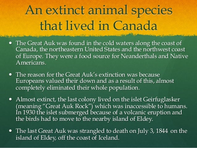 Essay on extinct species